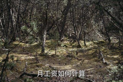 薪資，月工資如何計算