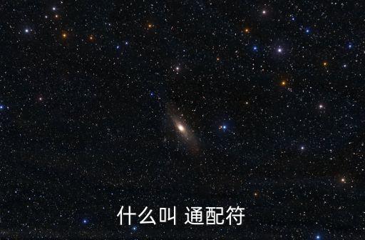 什么叫 通配符
