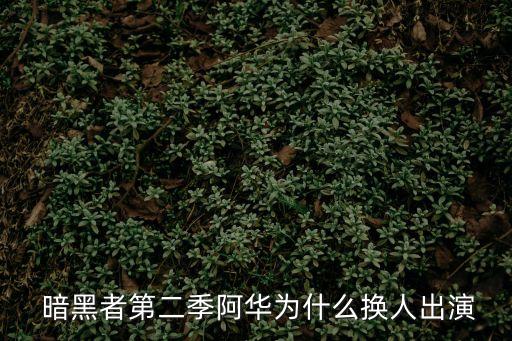  暗黑者第二季阿華為什么換人出演