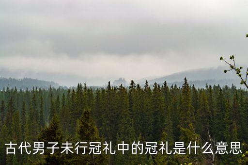 古代男子未行冠禮中的冠禮是什么意思