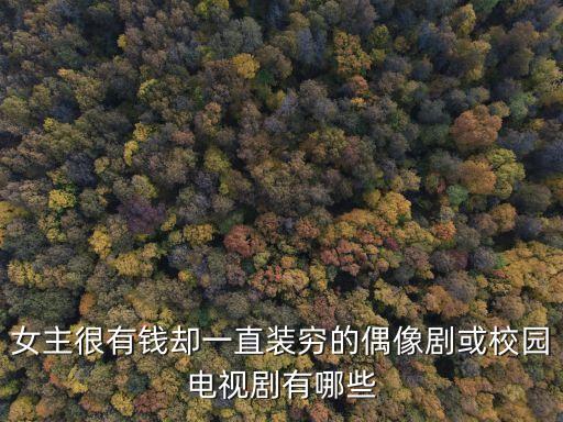 女主很有錢卻一直裝窮的偶像劇或校園電視劇有哪些