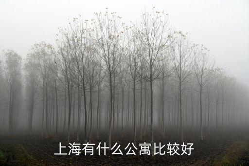 上海有什么公寓比較好