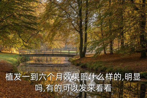 醫院效果圖,大部分患者在三個月左右能看到效果