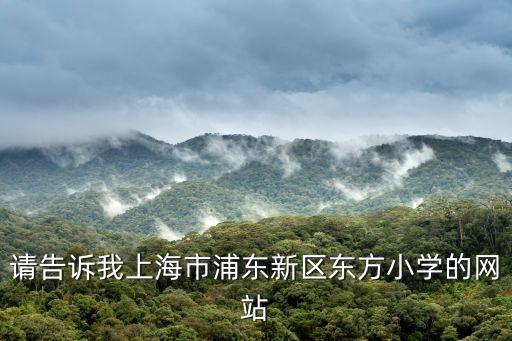 請告訴我上海市浦東新區東方小學的網站