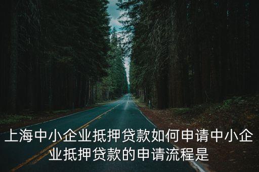 上海中小企業(yè)抵押貸款如何申請中小企業(yè)抵押貸款的申請流程是