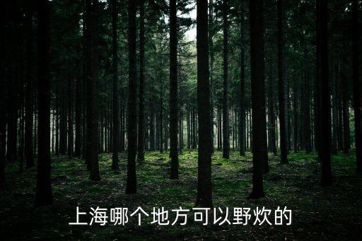 上海哪個地方可以野炊的