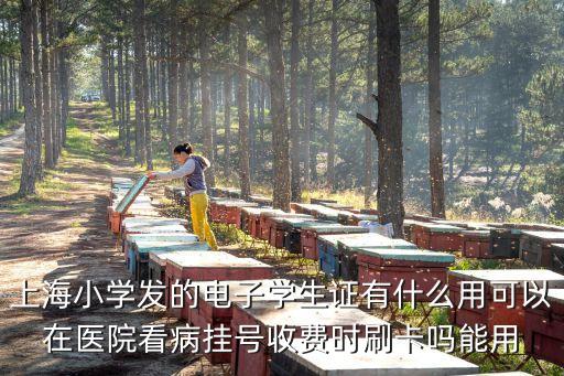上海市電子學生證能看病嗎，上海小學生電子學生證用途