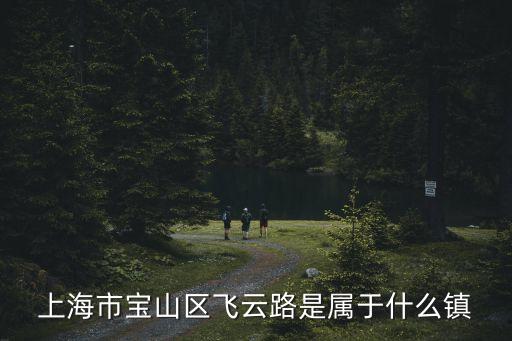 上海市寶山區飛云路是屬于什么鎮