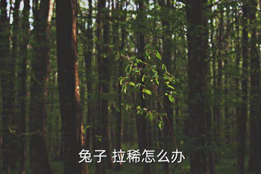 兔子拉稀,怎么辦?