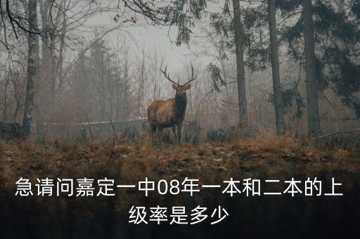 急請問嘉定一中08年一本和二本的上級率是多少