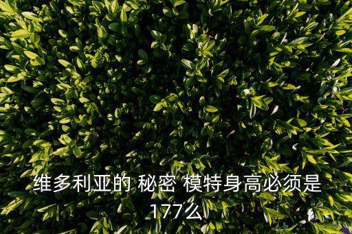維多利亞的秘密模特,中國第二位維密天使腿長178厘米