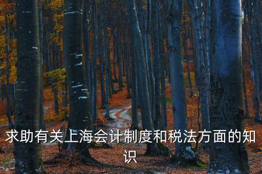 求助有關上海會計制度和稅法方面的知識