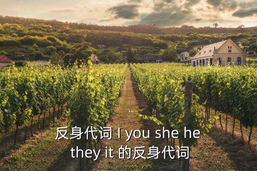 it的反身代詞，反身代詞 I you she he they it 的反身代詞
