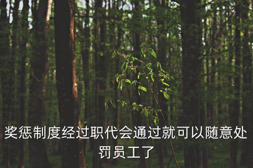 職代會制度，職工代表大會制度的適用范圍有何特點