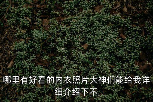 哪里有好看的內衣照片大神們能給我詳細介紹下不