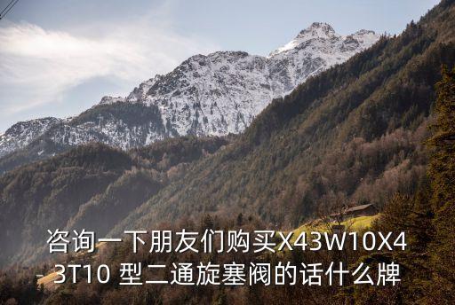 上海市閥門二廠旋塞閥，咨詢一下朋友們購買X43W10X43T10 型二通旋塞閥的話什么牌