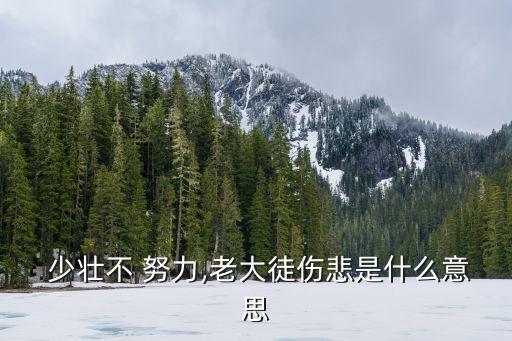 少壯不努力,不珍惜時間努力向上老了徒然后悔
