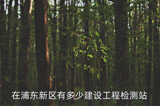 在浦東新區有多少建設工程檢測站
