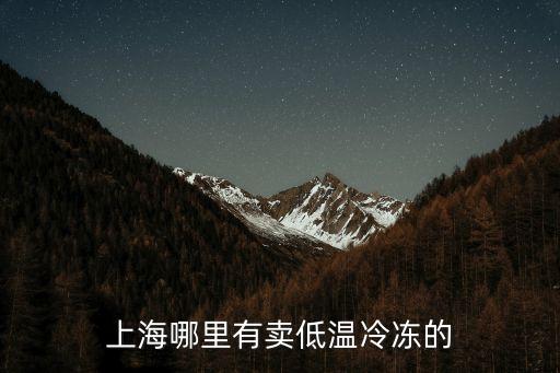 上海哪里有賣低溫冷凍的