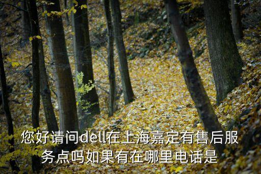 您好請問dell在上海嘉定有售后服務點嗎如果有在哪里電話是