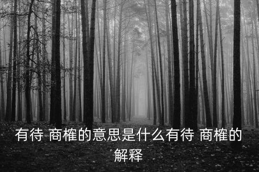 有待 商榷的意思是什么有待 商榷的解釋