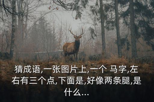 馬字圖片,馬失前蹄比喻因偶然失誤而灰心喪氣