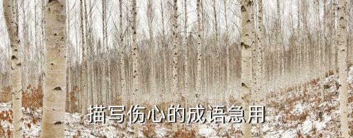 關于傷心的成語，傷心的成語
