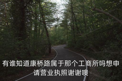 上海市康橋鎮工商所，有誰知道康橋路屬于那個工商所嗎想申請營業執照謝謝噢