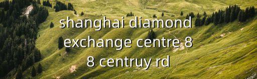 上海市管88號文，shanghai diamond exchange centre 88 centruy rd