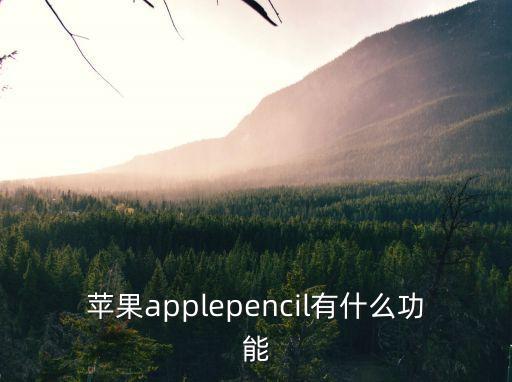 素描畫蘋果，素描蘋果可以幫忙點評一下嗎