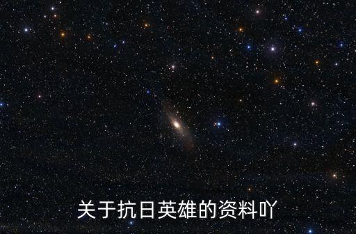 關(guān)于抗日英雄的資料吖