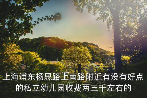 上海浦東楊思路上南路附近有沒有好點的私立幼兒園收費兩三千左右的