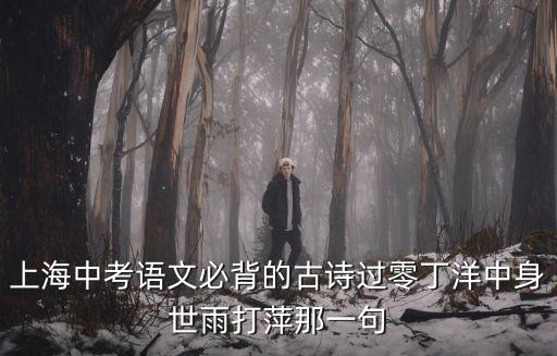 上海市初三必考文言文，2015上海中考語文必背課內古詩文有哪些