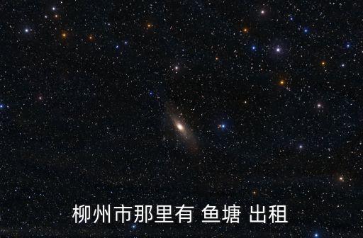 魚塘出租,柳州30畝魚塘水庫經營權出租