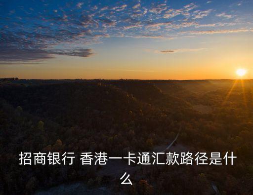 招商銀行香港分行,招商銀行個(gè)人向境外匯歐元路線有哪些?