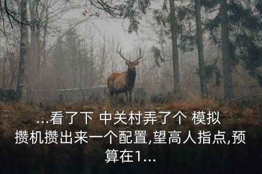 ...看了下 中關村弄了個 模擬 攢機攢出來一個配置,望高人指點,預算在1...