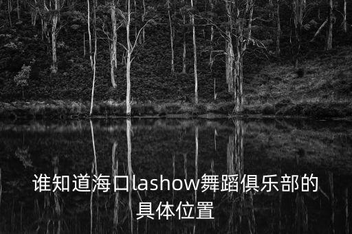 誰知道海口lashow舞蹈俱樂部的具體位置