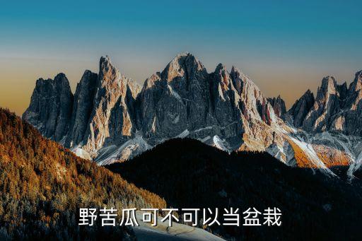 王樹基，想知道 煙臺市 從龍口市新港路學校到龍口市實驗小學怎么坐公交