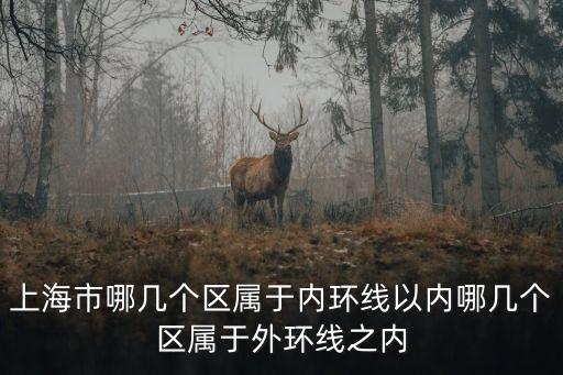 上海市區外環以內地圖，優秀詳盡的上海電子地圖