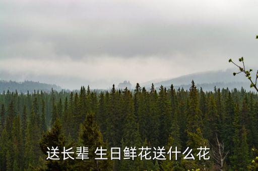 老師生日送什么花,師生日送禮攻略（15）