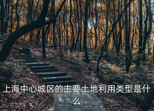 上海中心城區(qū)的主要土地利用類型是什么