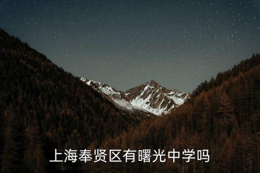 上海奉賢區有曙光中學嗎