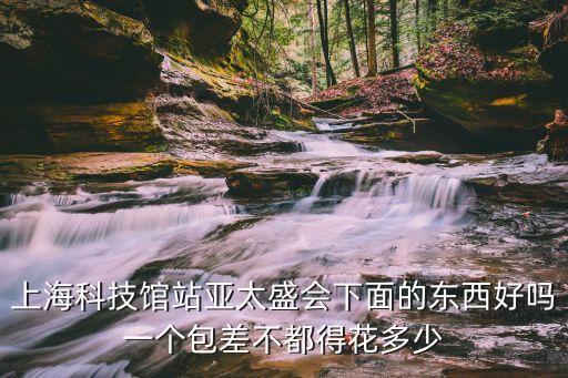 上海科技館站亞太盛會下面的東西好嗎一個包差不都得花多少