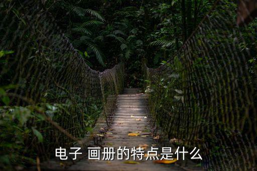 電子 畫冊的特點是什么