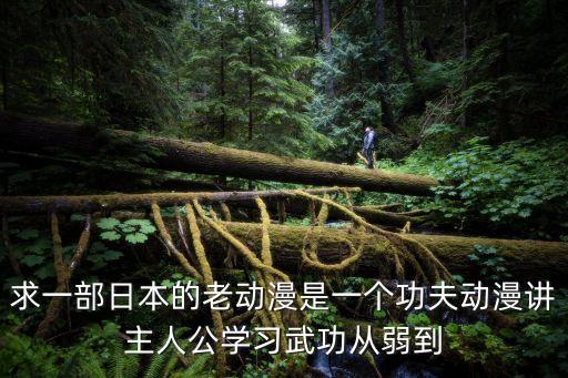 求一部日本的老動漫是一個功夫動漫講主人公學習武功從弱到