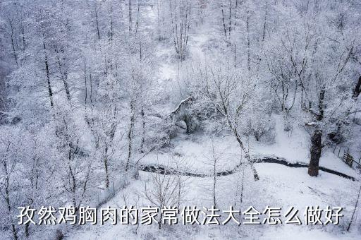 孜然雞胸肉的家常做法大全怎么做好