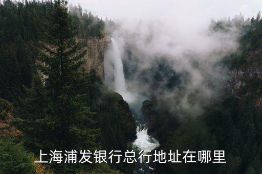 上海浦發銀行總行地址在哪里