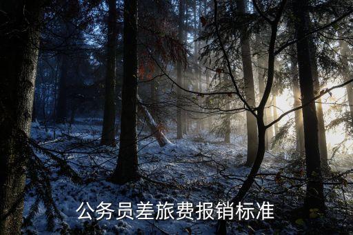 上海市公職人員差旅費標準，公務員差旅費報銷標準