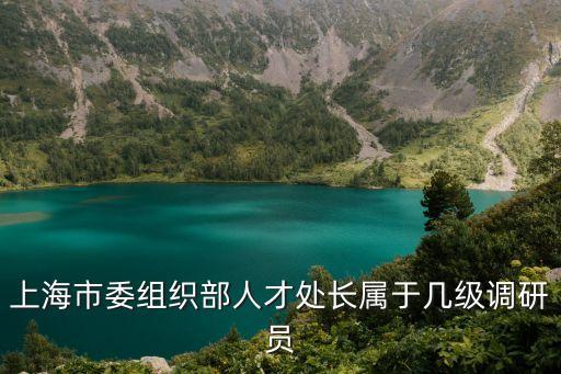 上海市委組織部人才處長屬于幾級調研員