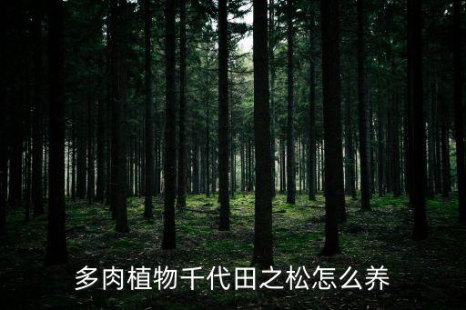 多肉植物千代田之松怎么養(yǎng)